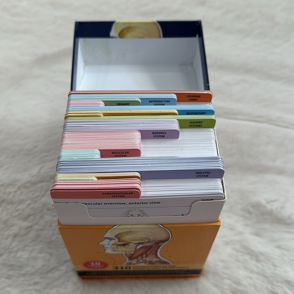 Kaplan Anatomy Flashcards Second Edition - Picture 2 of 6